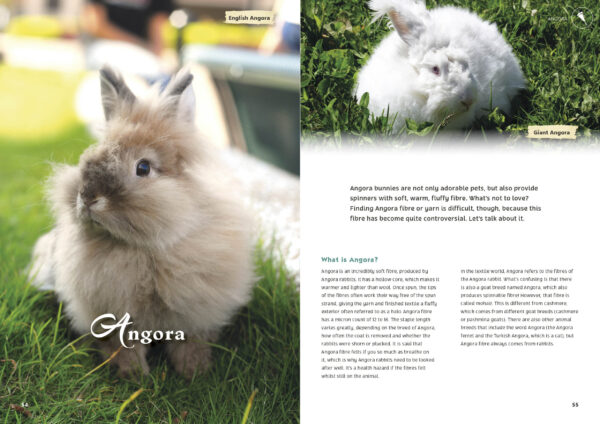 Angora