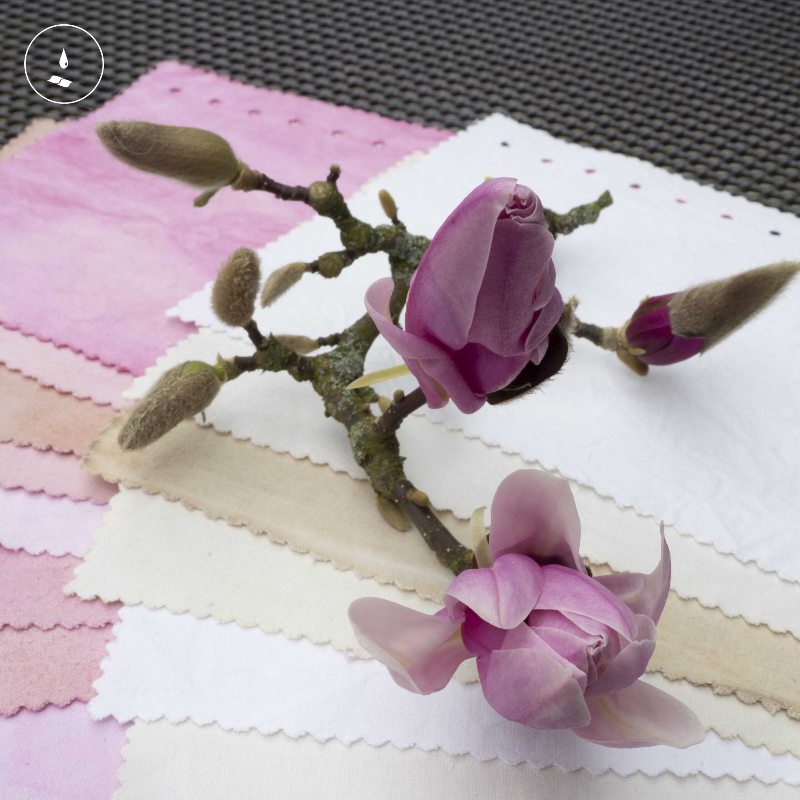 Mordanting cotton