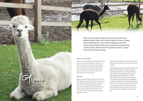 Magazine 07 Sample page