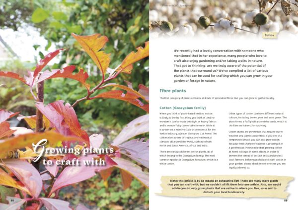 Magazine 07 Sample page
