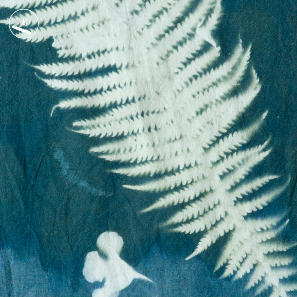 Cyanotypes on fabric