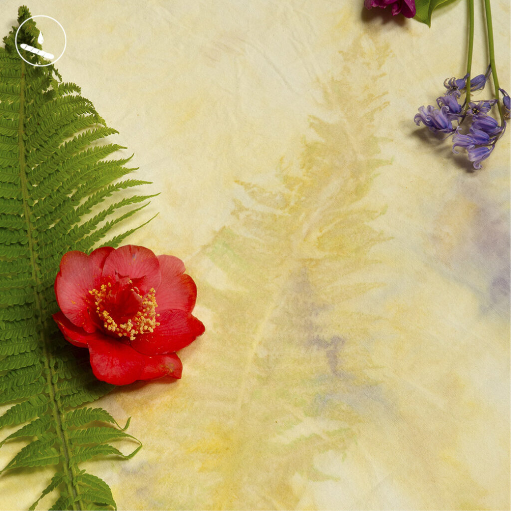 Eco printing